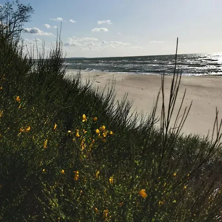 5b Blue Marine Basen Brodziki Plac Zabaw The Of Przy Plaz アパート