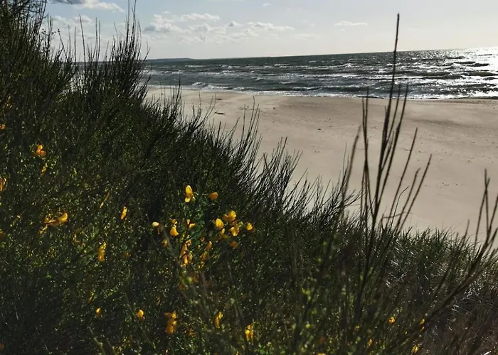 5b Blue Marine Basen Brodziki Plac Zabaw The Of Przy Plaz 公寓